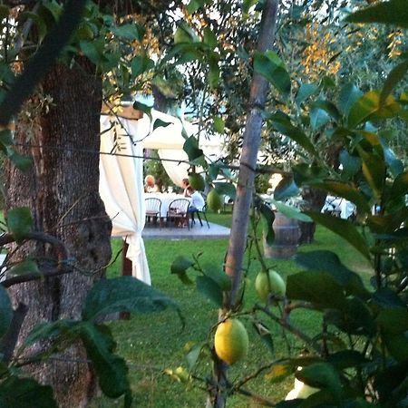Hotel Da Filie' Querceta Zewnętrze zdjęcie