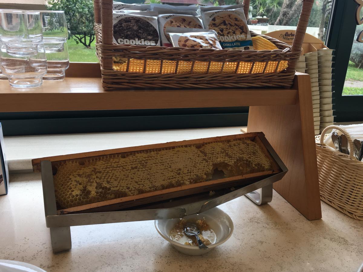 Hotel Da Filie' Querceta Zewnętrze zdjęcie